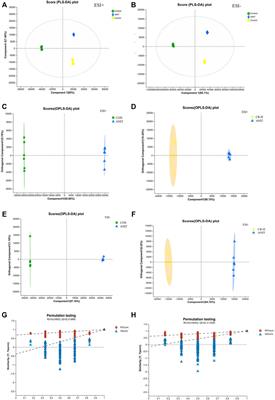 Mechanism of crocin I on ANIT-induced intrahepatic cholestasis by combined metabolomics and transcriptomics